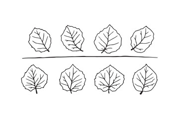 Asoka leaf line art