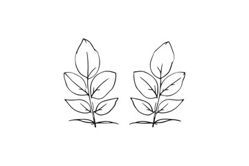 Asoka leaf line art