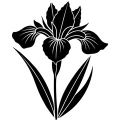A graceful vector silhouette of an iris flower