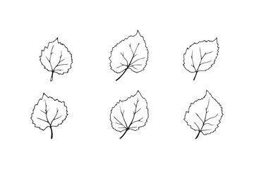Aspen leaf line art
