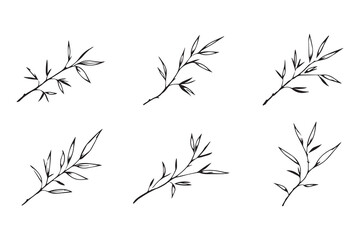 Obraz premium Bamboo leaf line art 