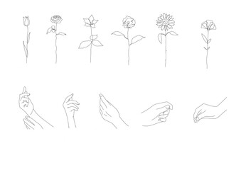 ひと筆描きのお花セット（背景透過）