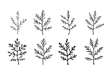 Set of 6 pec in two row  Black Alder_ line art on white background