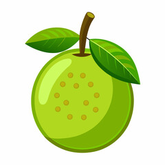 guava fruit vector with white background