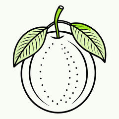 guava outline icon on white background.