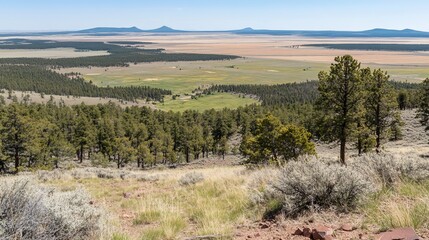 High desert vista, pine forest, and distant plains.  Vast landscape unfolds from a high vantage point.  Rolling hills and plains stretch far below