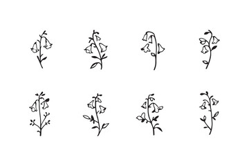 Set of 6 pec in two row  Bluebell black line art on white background