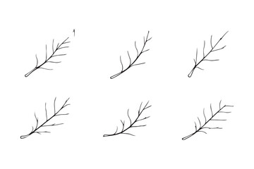 Set of 6 pec in two row  Blueberry Leaf line art on white background