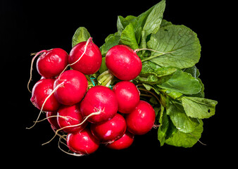 Fresh Red Radishes with Green Leaves on Black Background