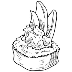 sushi handdrawn illustration