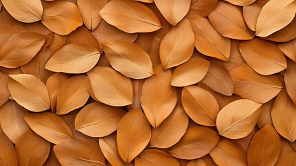 Brown and Gold Autumn Leaves Texture Background