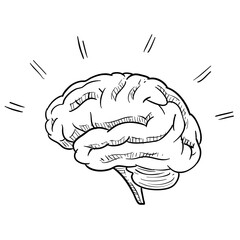brain handdrawn illustration