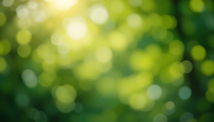 Fototapeta premium Abstract blurred green foliage with bokeh effect and bright sunlight shining through trees canopy