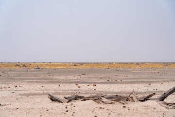 Makgadikgadi salt pans in botswana africa on a dusty day 