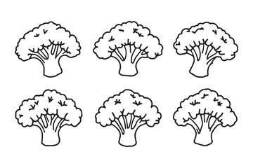 Set of 6 pec in two row  Broccoli Leaf line art on white background 
