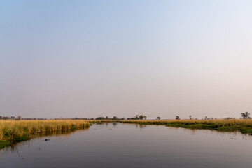 Okavango waterway with reflection of the sky and yellow/ green grass growing on the side in the morning with a light blue sky with pink accents 