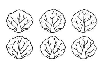Set of 6 pec in two row  Cabbage  Leaf line art on white background