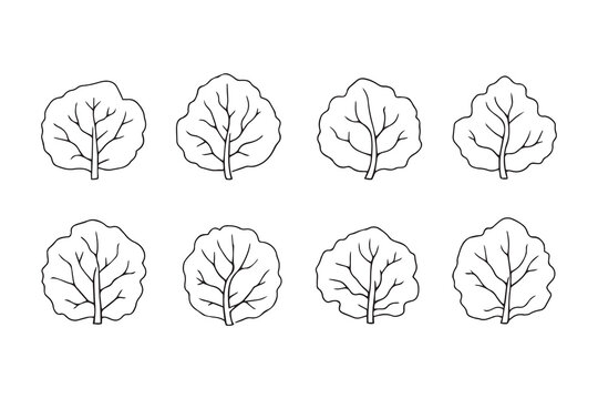 Set of 6 pec in two row  Cabbage  Leaf line art on white background