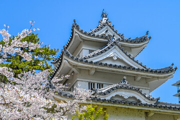 Naklejka premium 桜と津城 三重県津市 日本