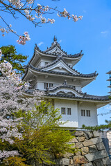 桜と津城 三重県津市 日本