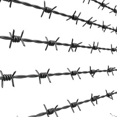 Barbed Wire Texture Background on Transparent  background