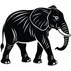 Obraz premium elephant walking silhouette