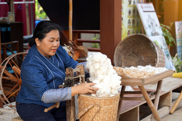 Asian woman hands picking up cotton in a bamboo basket spun by a Wooden Roller Giner. Soft and...
