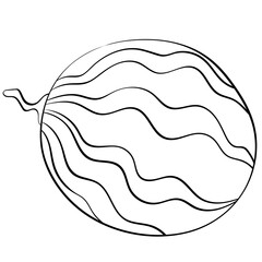 watermelon style line cute doodle illustration