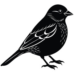 Obraz premium small songbird silhouette