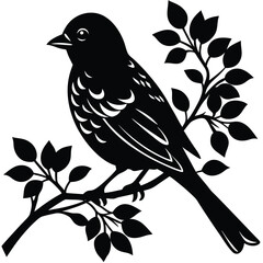 perched bird on a branch silhouette