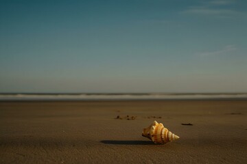 Obraz premium Seashell on a sandy beach with a blurred ocean background. A minimalist beach scene conveying serenity and peace.