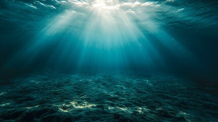 Underwater sunbeams illuminate the ocean floor.  Perfect for backgrounds, screensavers, and nature-themed designs.