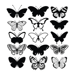 set of vector butterflies