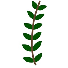 green leaf isolated on white vector 