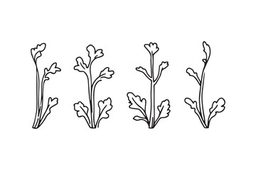 Set of 6 pec in two row  Celery Leaf line art on white background