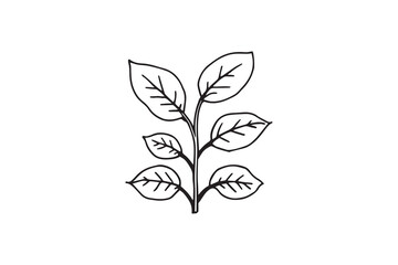 Century Plant line art