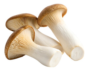 Fresh king oyster mushrooms isolated on white background