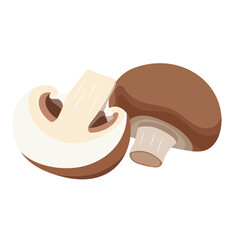 Champignon Mushroom Illustration Isolated on White Background