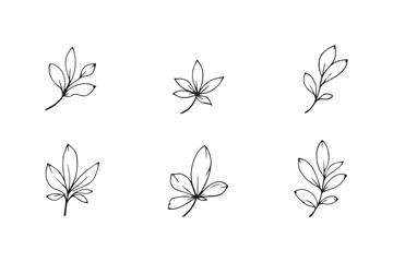 Set of 6 pec in two row  Chamomile Leaf line art on white background