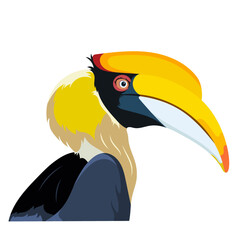 Great Hornbill Bird Animal Portrait Isolated on White Background © HakujiHaruka