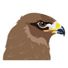 Brown Golden Eagle Bird Animal Portrait Illustration Isolated on White Background