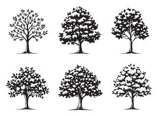 Chestnut Tree Black Line Art Collection