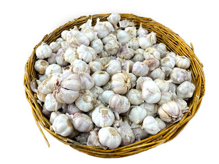 Lots of garlic in woven container on transparent background.