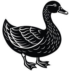 Fototapeta premium peking duck silhouette