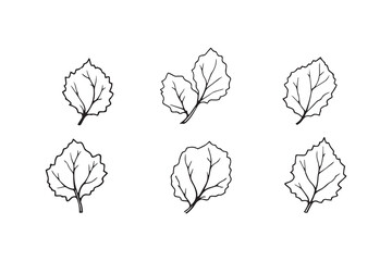 Set of 6 pec in two row  Chayote Leaf line art on white background