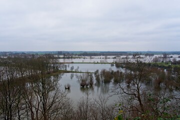 High water in the flood planes of the Rhine near Wageningen in the Netherlands with trees submerged in January 2024