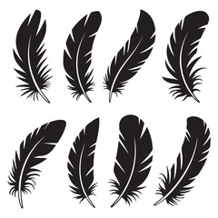 soft bird plumage set. Big set of bird feathers design. fluffy swan. Pen icons design. set of bird feathers design Vector Black silhouettes. with white background