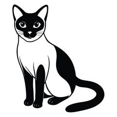 Obraz premium siamese cat vector