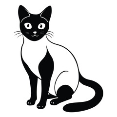 siamese cat vector