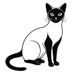 siamese cat vector